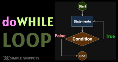 dowhile loop in programming